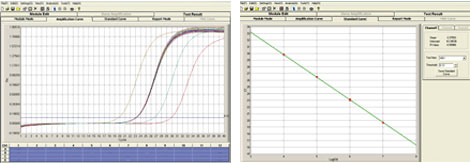 Grafici della curva di amplificazione e della curva standard quantitativa